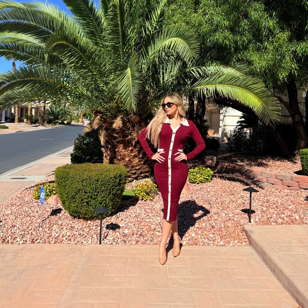 226 ‘Alex’ Elegant Burgundy and White Women's Dress - Picture 2 of 12
